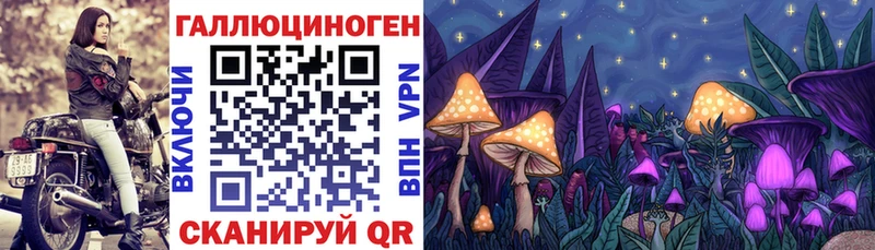 Псилоцибиновые грибы ЛСД  Абакан 