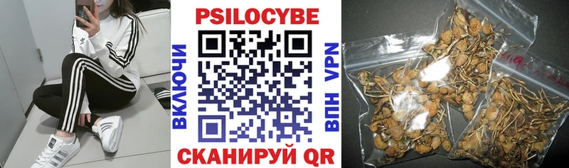Галлюциногенные грибы Magic Shrooms Абакан